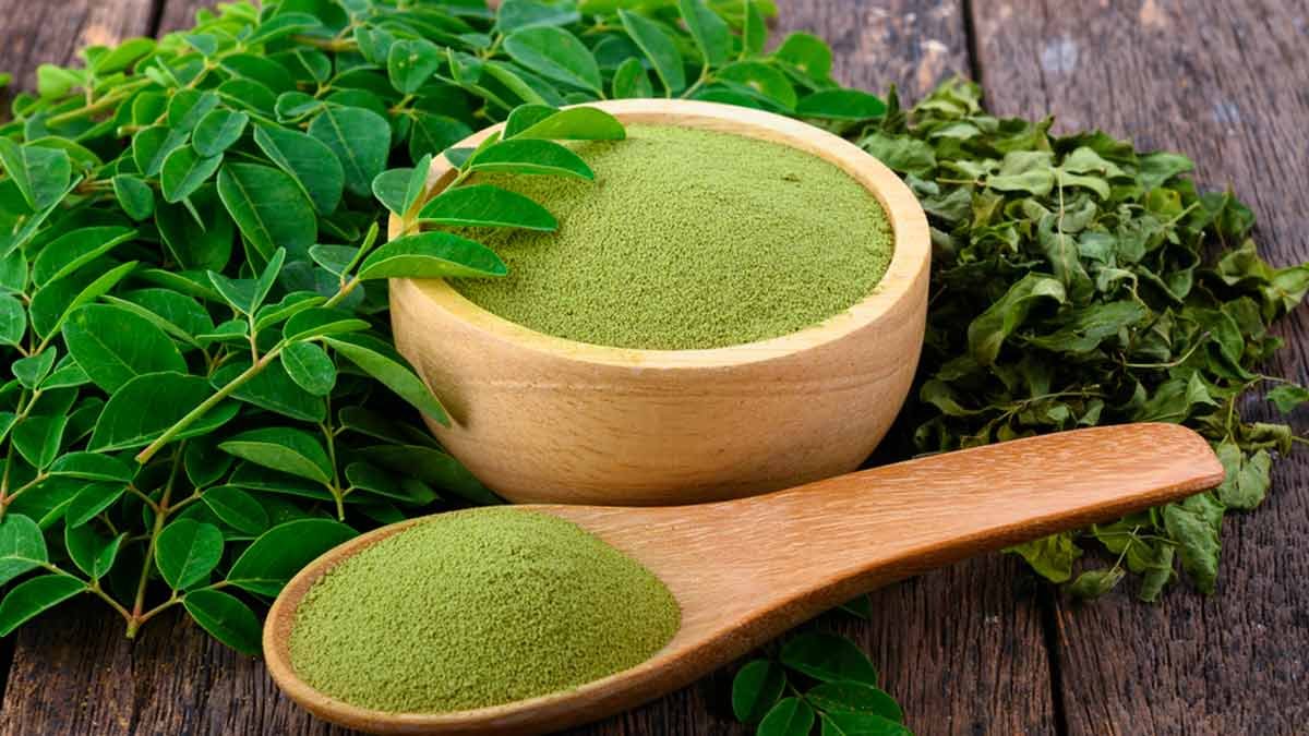 Moringa Powder1