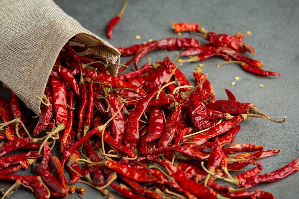 guntur-red-chilli-423